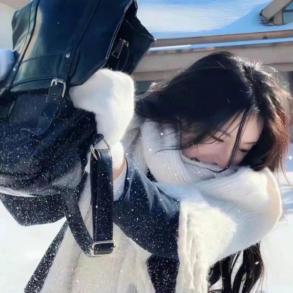 大胆家族
