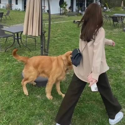 杰克离婚