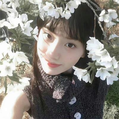 花予野兽 第二季